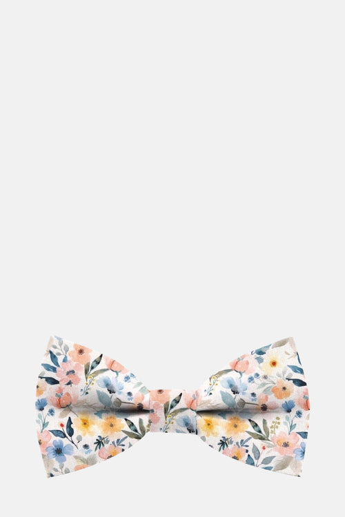 Noeud papillon Multicolore - MR. CELESTIN