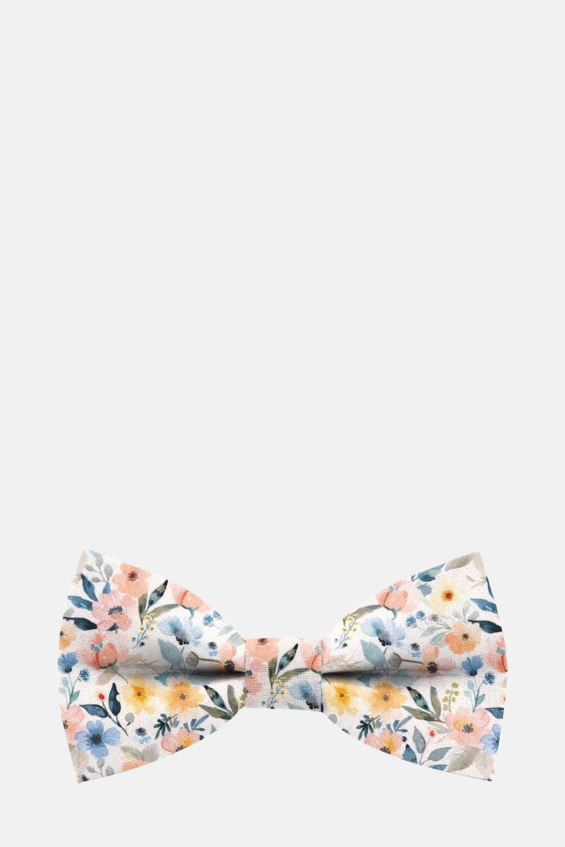 Noeud papillon Multicolore - MR. CELESTIN