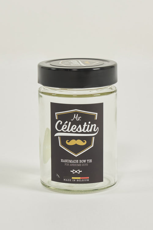 Noeud papillon Bleu - MR. CELESTIN