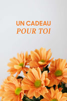 UN CADEAU POUR TOI