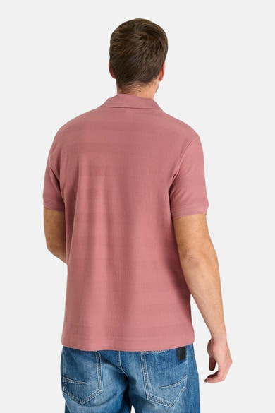 Polo à manches courtes brique de Le Temps des Cerises, vu de dos, porté avec un jean bleu.