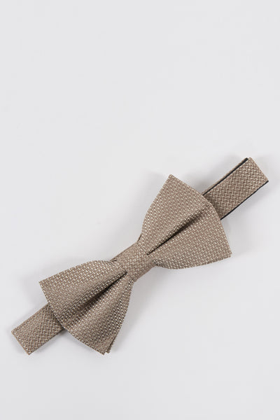 Noeud papillon Brun - Le Fabuleux Marcel de Bruxelles