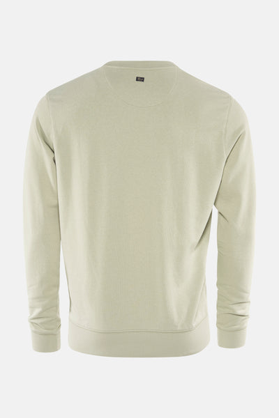 Sweatshirt kaki en katoen van Petrol Industries, rugzijde weergave, met een discreet etiket aan de hals.
