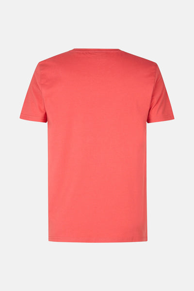 T-shirt rouge à manches courtes de Petrol Industries, uni et vu de dos.
