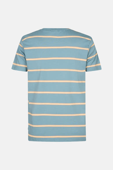 Blauw T-shirt met korte mouwen van Petrol Industries® met beige horizontale strepen, achterkant.