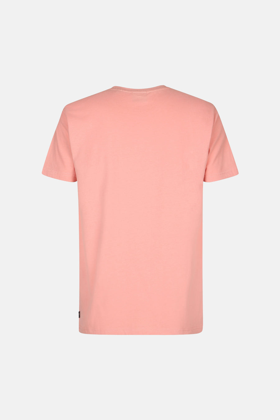 T-shirt à manches courtes rose de Petrol Industries, vu de dos, avec une petite étiquette sur le côté.
