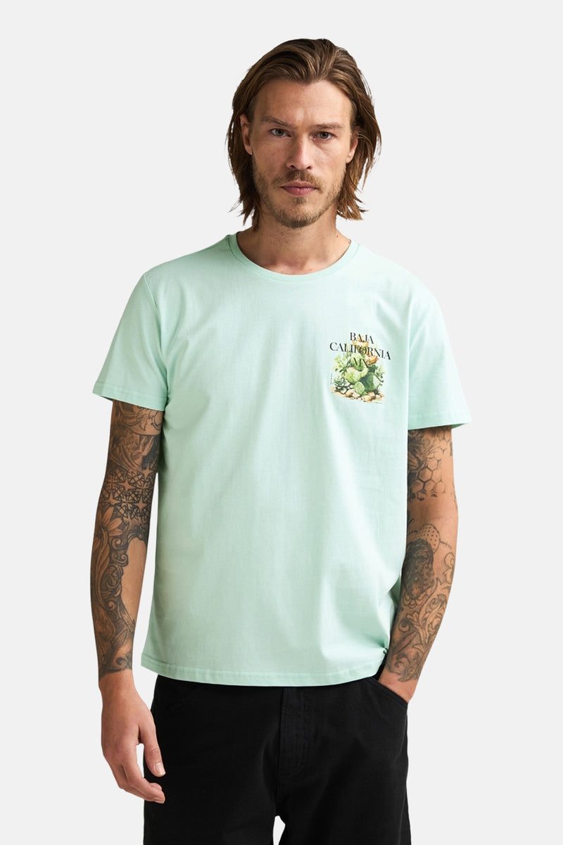 T-shirt met korte mouwen - groen