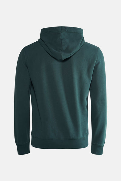 Sweat à capuche vert de SUPERDRY, vue arrière sur fond uni.
