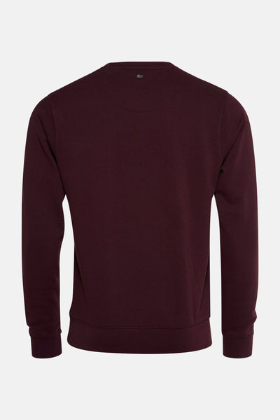 Sweat-shirt bordeaux par Petrol Industries®, vue de dos avec une étiquette discrète au niveau du cou.