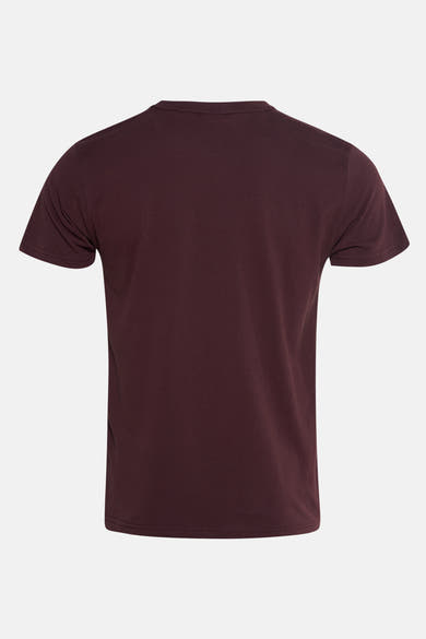 Bordeaux T-shirt met korte mouwen van Petrol Industries, achterkant, op lichte achtergrond.