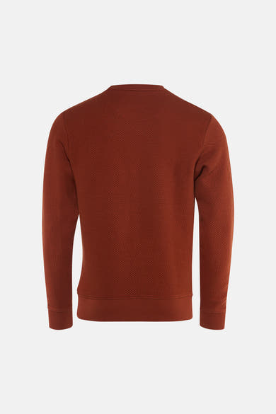 Rust red textured crewneck sweatshirt back view with ribbed cuffs and hem, solid color, waffle knit pattern