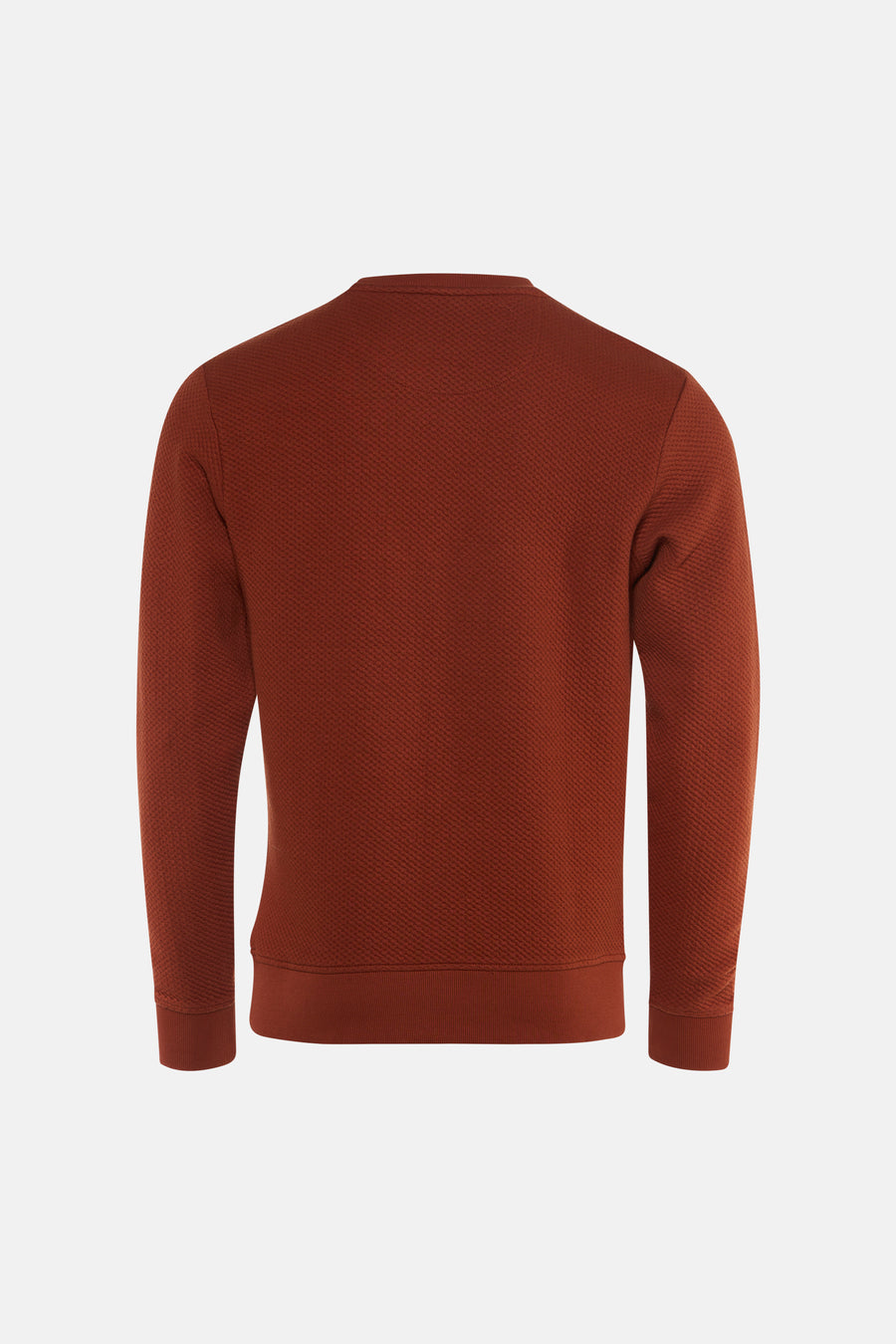 Rust red textured crewneck sweatshirt back view with ribbed cuffs and hem, solid color, waffle knit pattern
