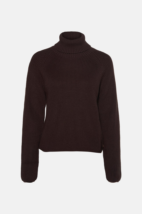 Pull met rolkraag - bruin