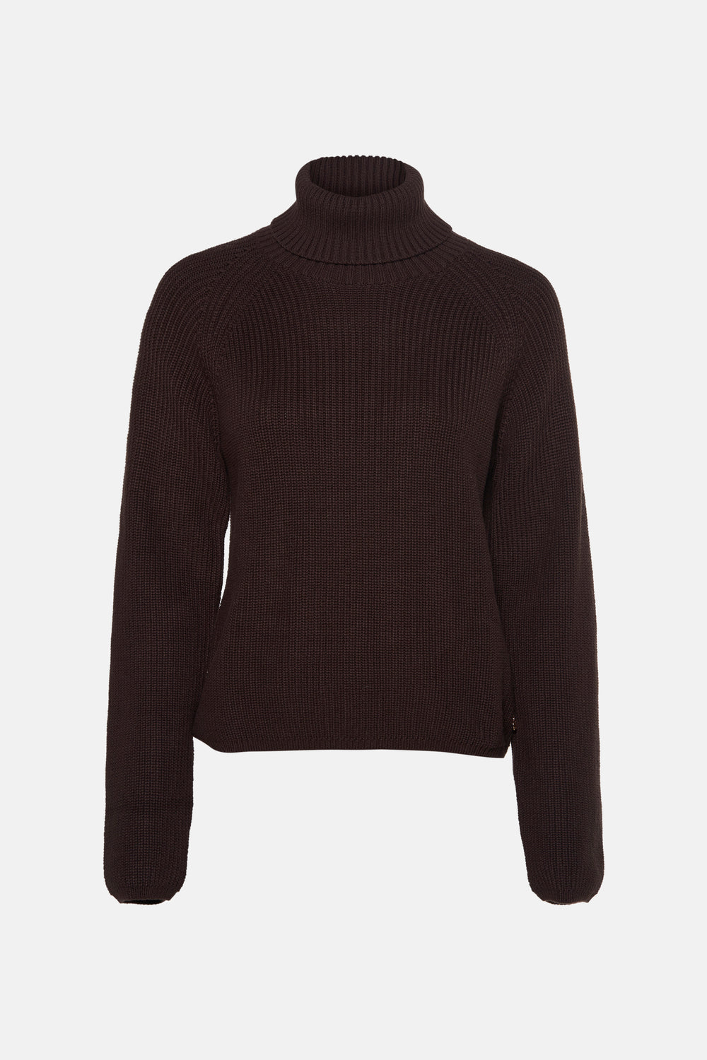 Pull met rolkraag - bruin