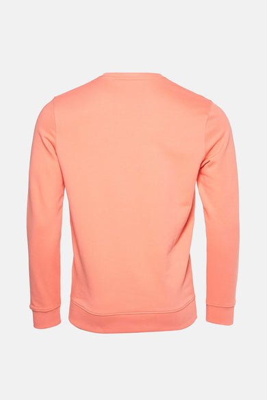 Sweater - corail