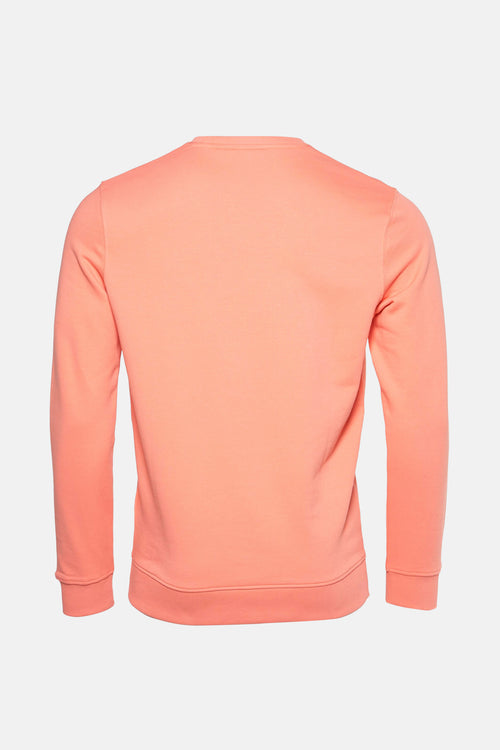 Sweat col rond CORAIL - LYLE & SCOTT