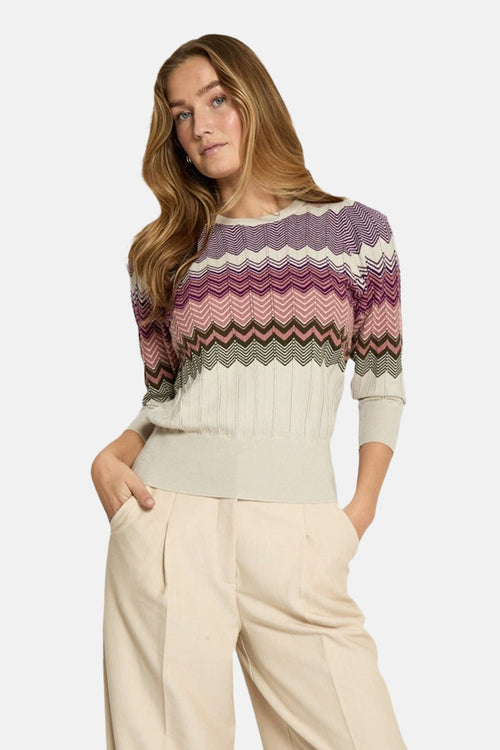 Pull met ronde hals - multicolor