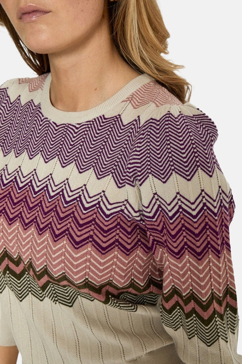 Pull met ronde hals - multicolor