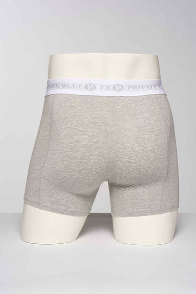 Grijze boxer van PRIVATE BLUE, met een witte tailleband met het merklogo, van achteren gezien.
