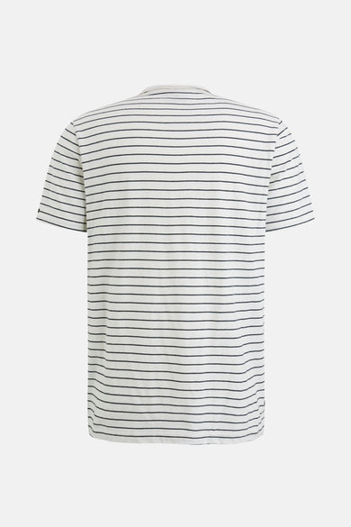 Wit T-shirt met korte mouwen van PME LEGEND, met marineblauwe horizontale strepen, achterzijde.