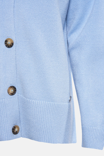 Cardigan Blauw - ZABAIONE
