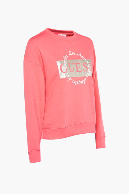 Sweat - rose